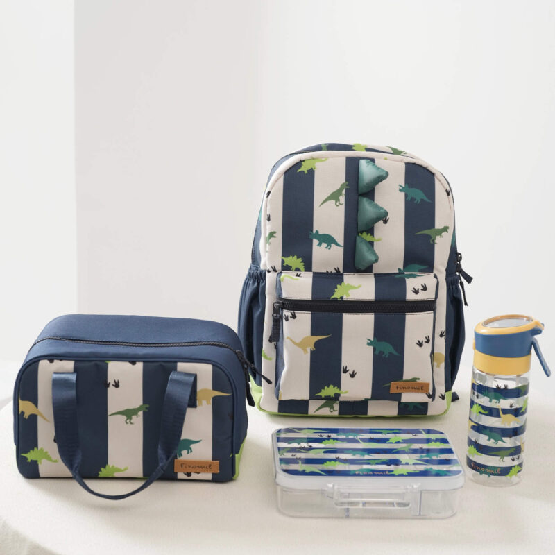 Sets of 5 Back to School Dino Stripes