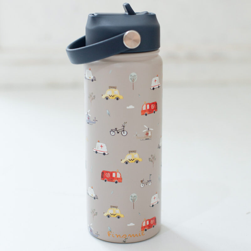 Stainless Steel Water Bottle Voyage