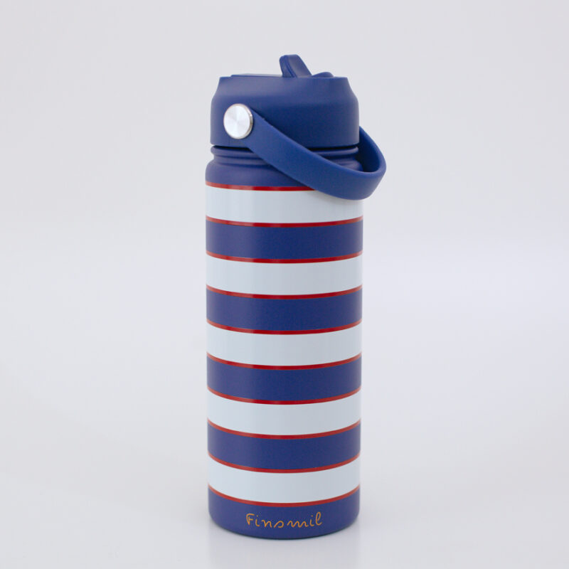Stainless Steel Water Bottle Stripely