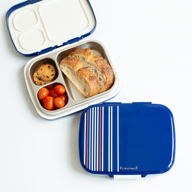 Stainless Steel Lunch Box Stripely